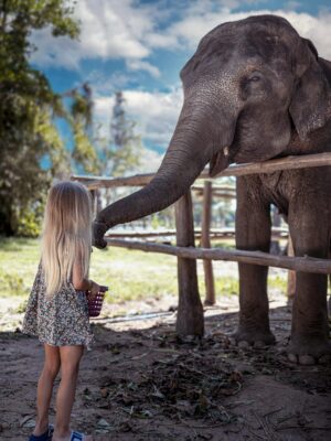 explore-bangkok-with-private-transfers-and-taxis-pexels-juliiaabramova-11927314