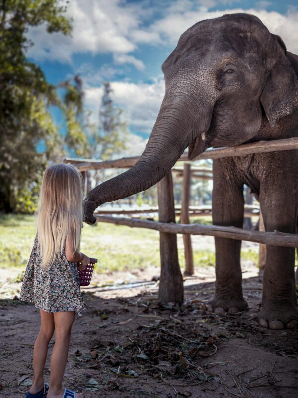 explore-bangkok-with-private-transfers-and-taxis-pexels-juliiaabramova-11927314